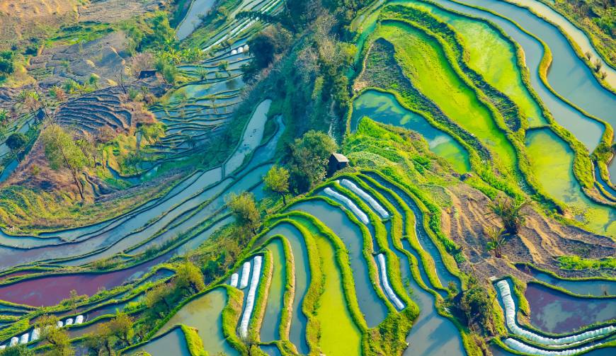 走进乐安县TVC拍摄：解锁本地化场景与创意镜头的完美融合